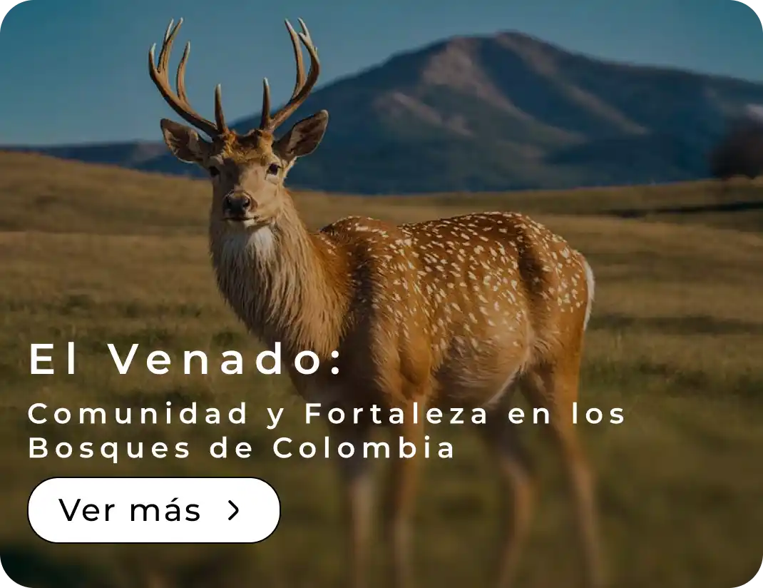 El Venado Comunidad y Fortaleza en los Bosques de Colombia 