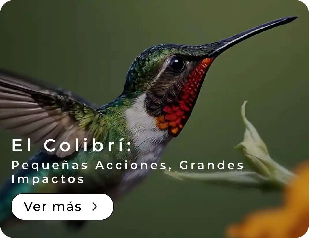 El Colibrí: Pequeñas Acciones, Grandes Impactos 