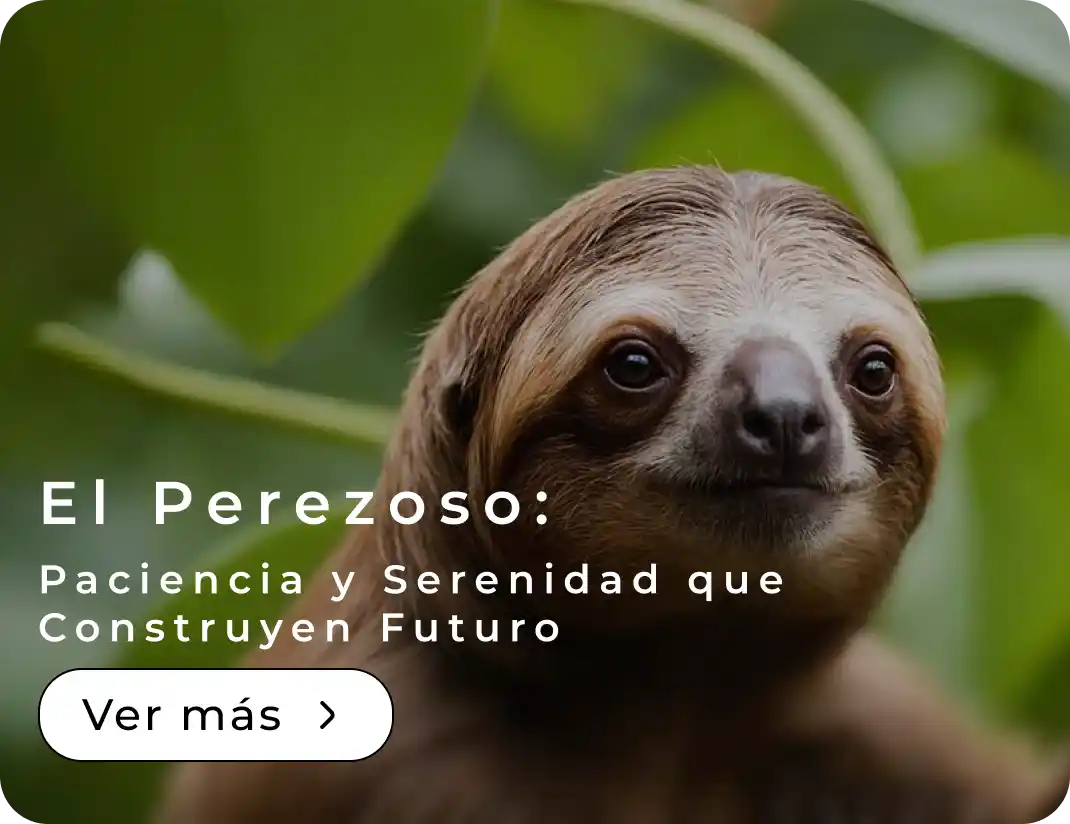 El Perezoso: Paciencia y Serenidad que Construyen Futuro 