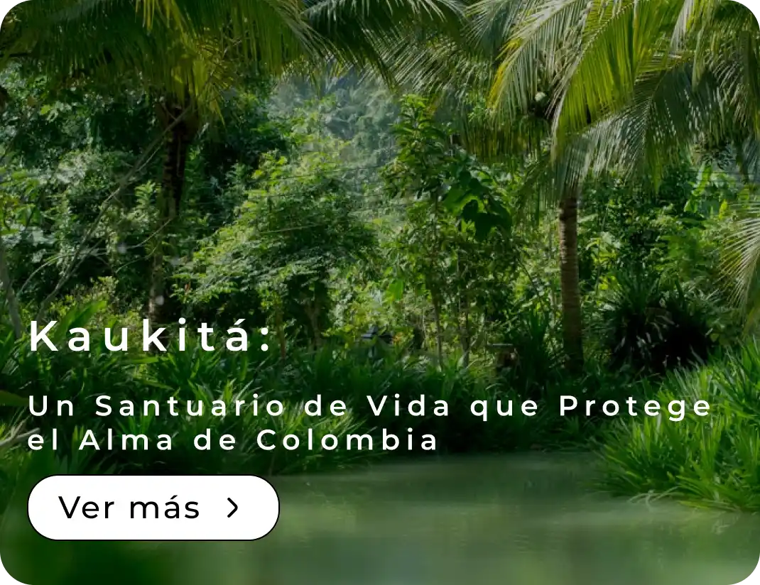 Kaukitá: Un Santuario de Vida que Protege el Alma de Colombia