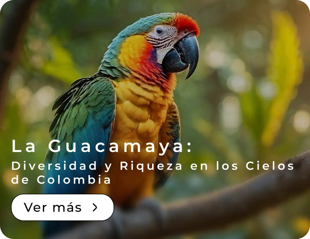 La Guacamaya: Diversidad y Riqueza en los Cielos de Colombia
