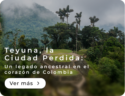 Teyuna, la Ciudad Perdida: Un legado ancestral en el corazón de Colombia