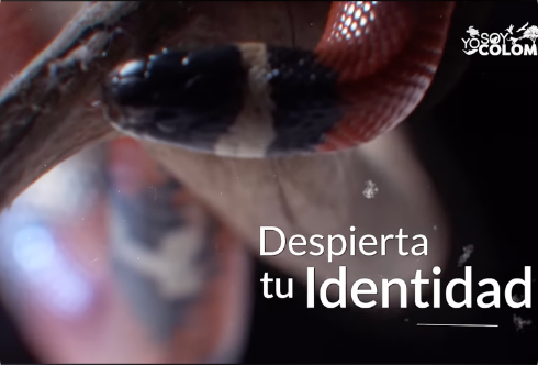 Los colores de la natrualeza