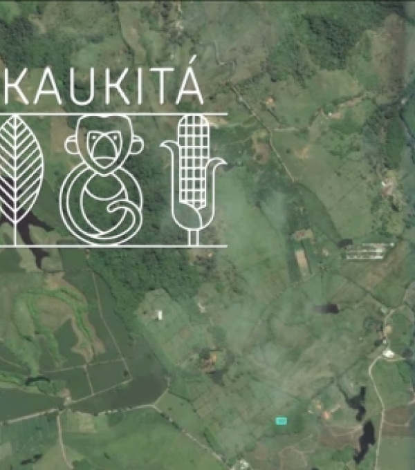 Kaukitá